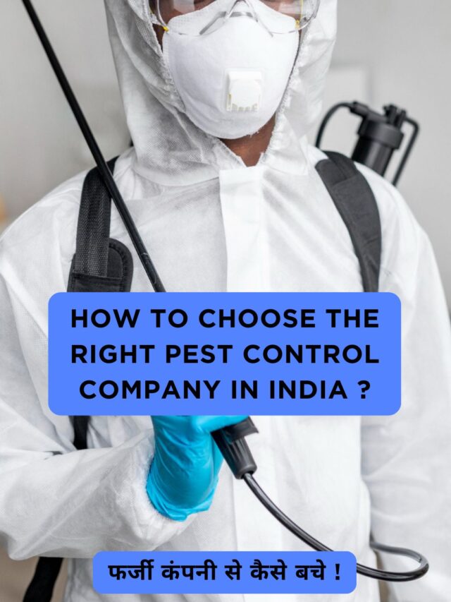 How to choose the right pest control company in india ?