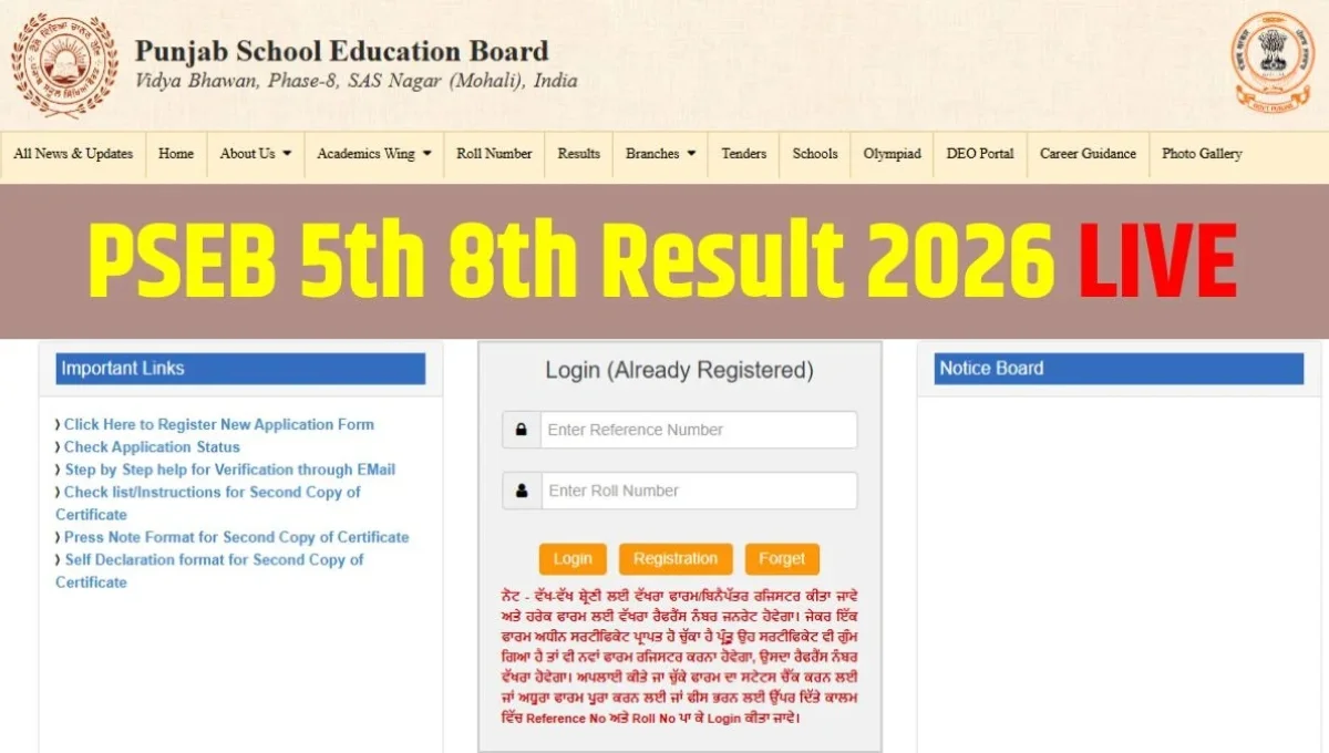 Punjab Board Class 8 Result
